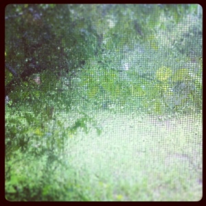 rainy Tybee